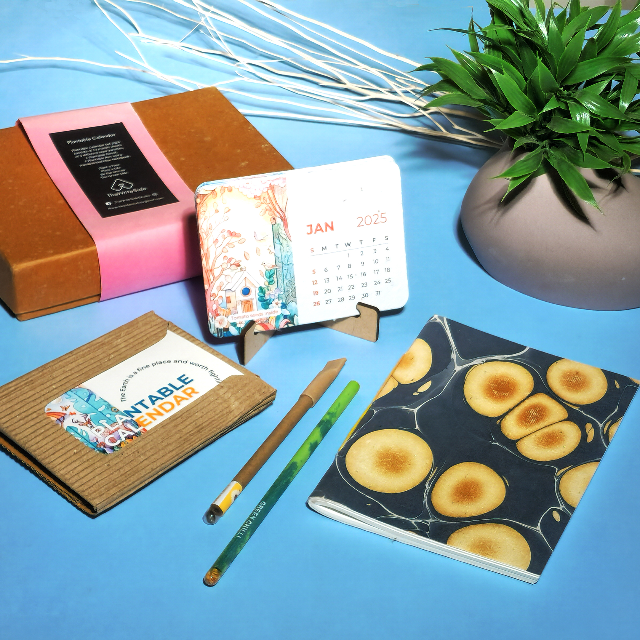 Plantable Calendar Gift Box | Style 4 - alternate view