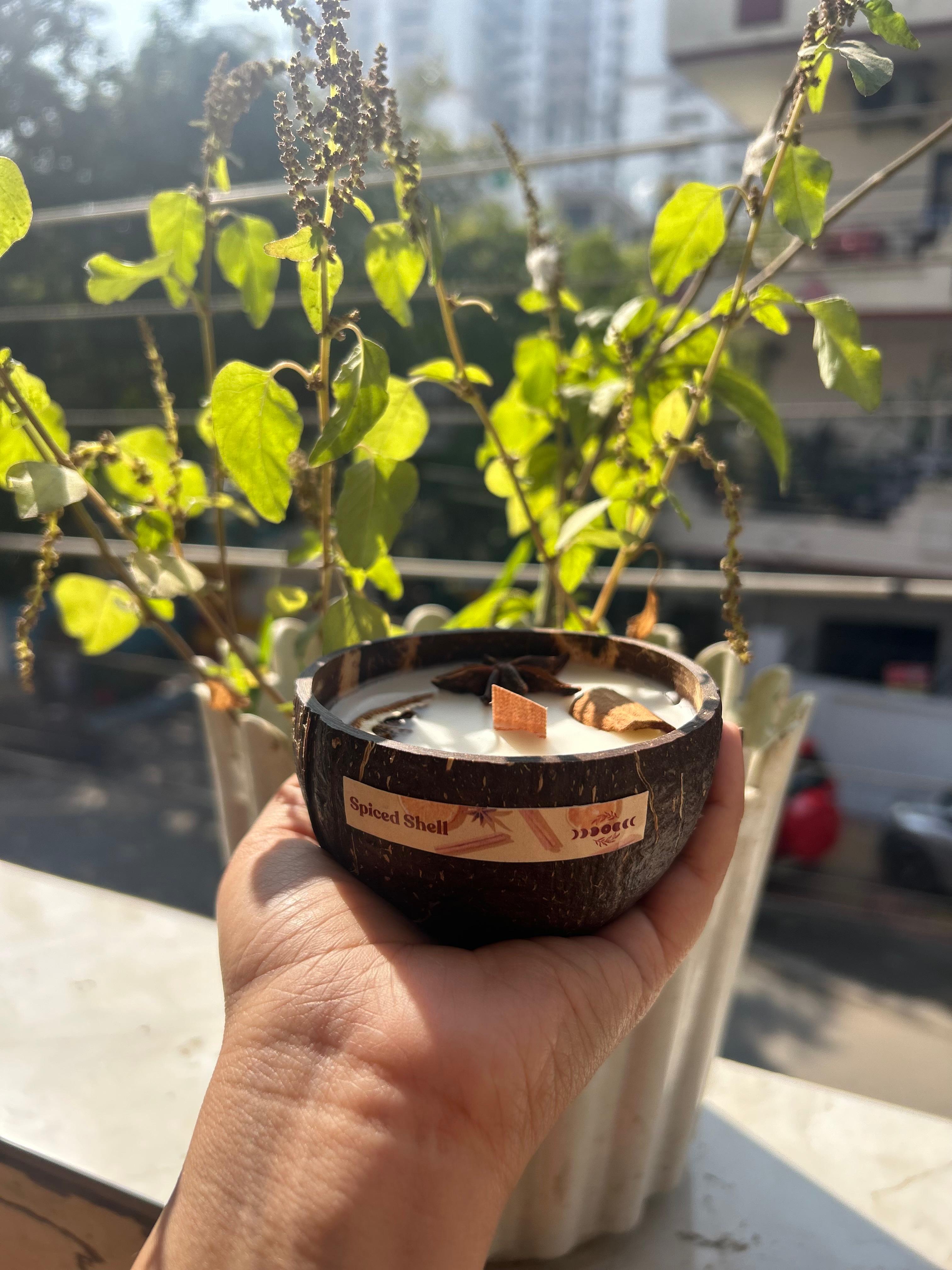 Spiced shell Candle | Cinnamon & Spices | Burn Time 30 Hrs