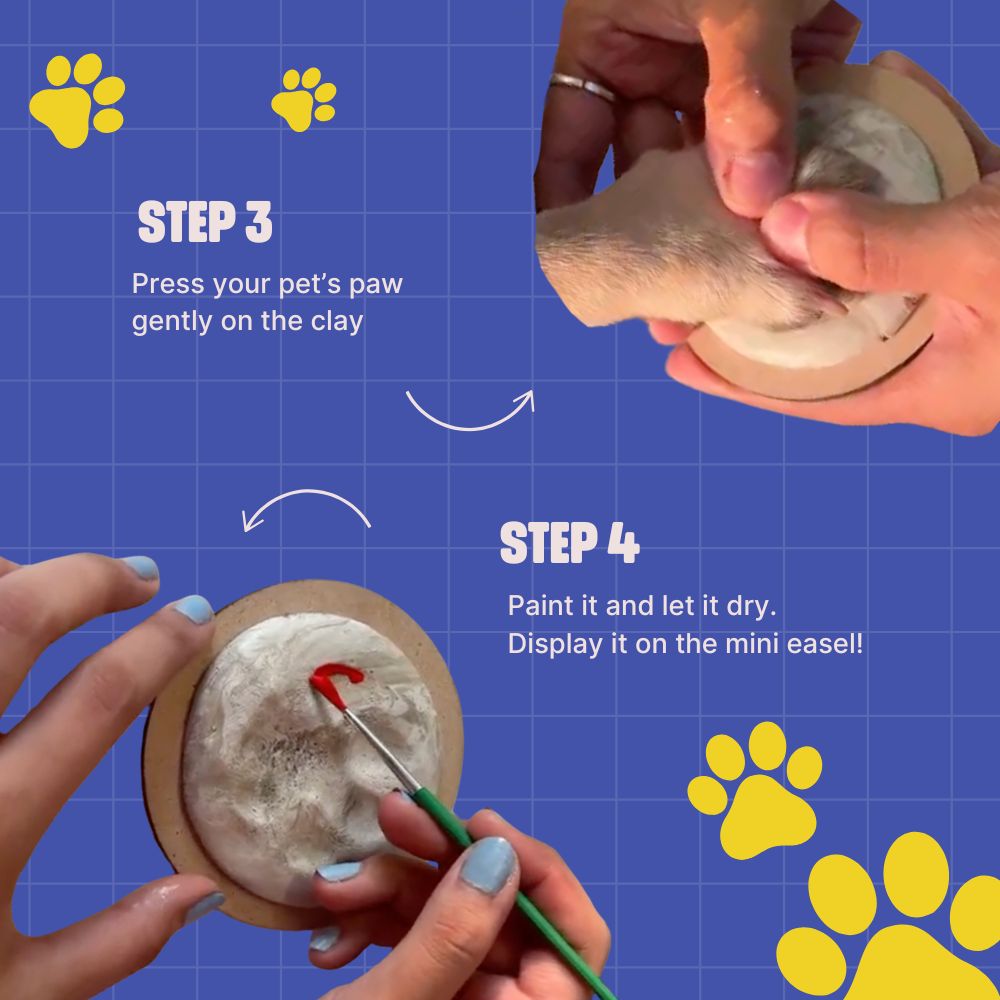 DIY Paw Printing Kit thumbnail 4