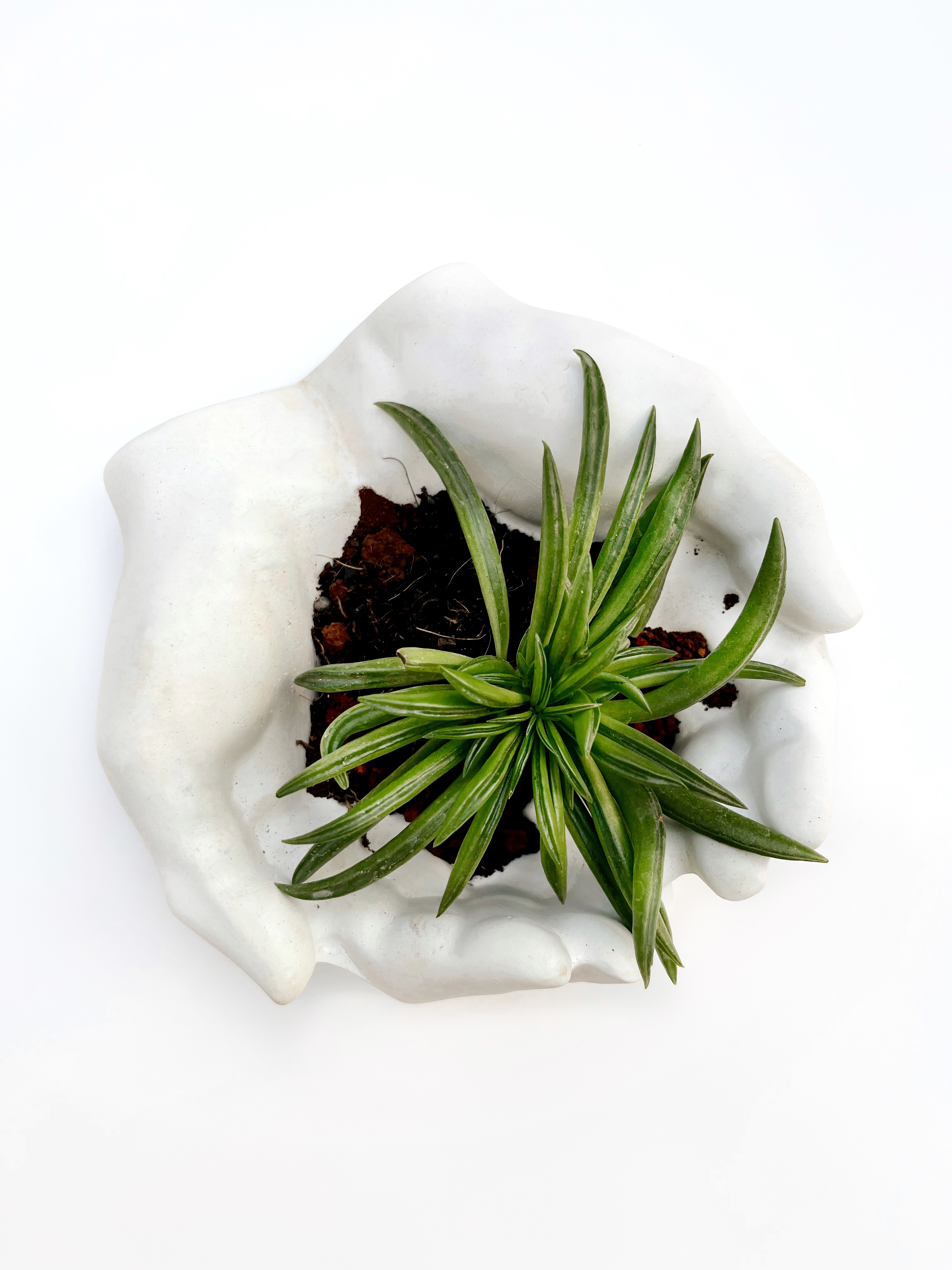 Praying Hands Multipurpose Bowl | Trinket Dish - alternate view