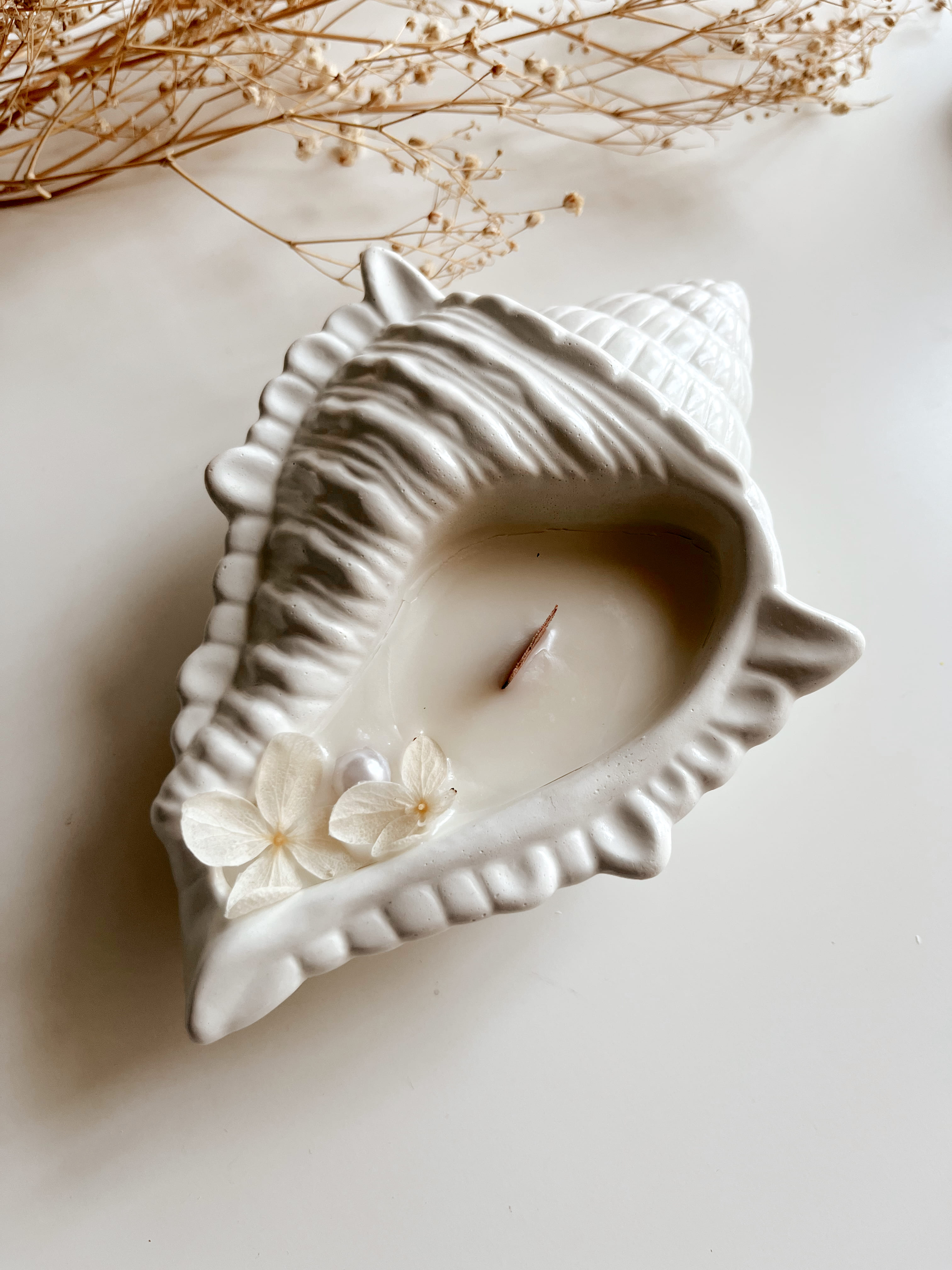 Conch Candle thumbnail 1