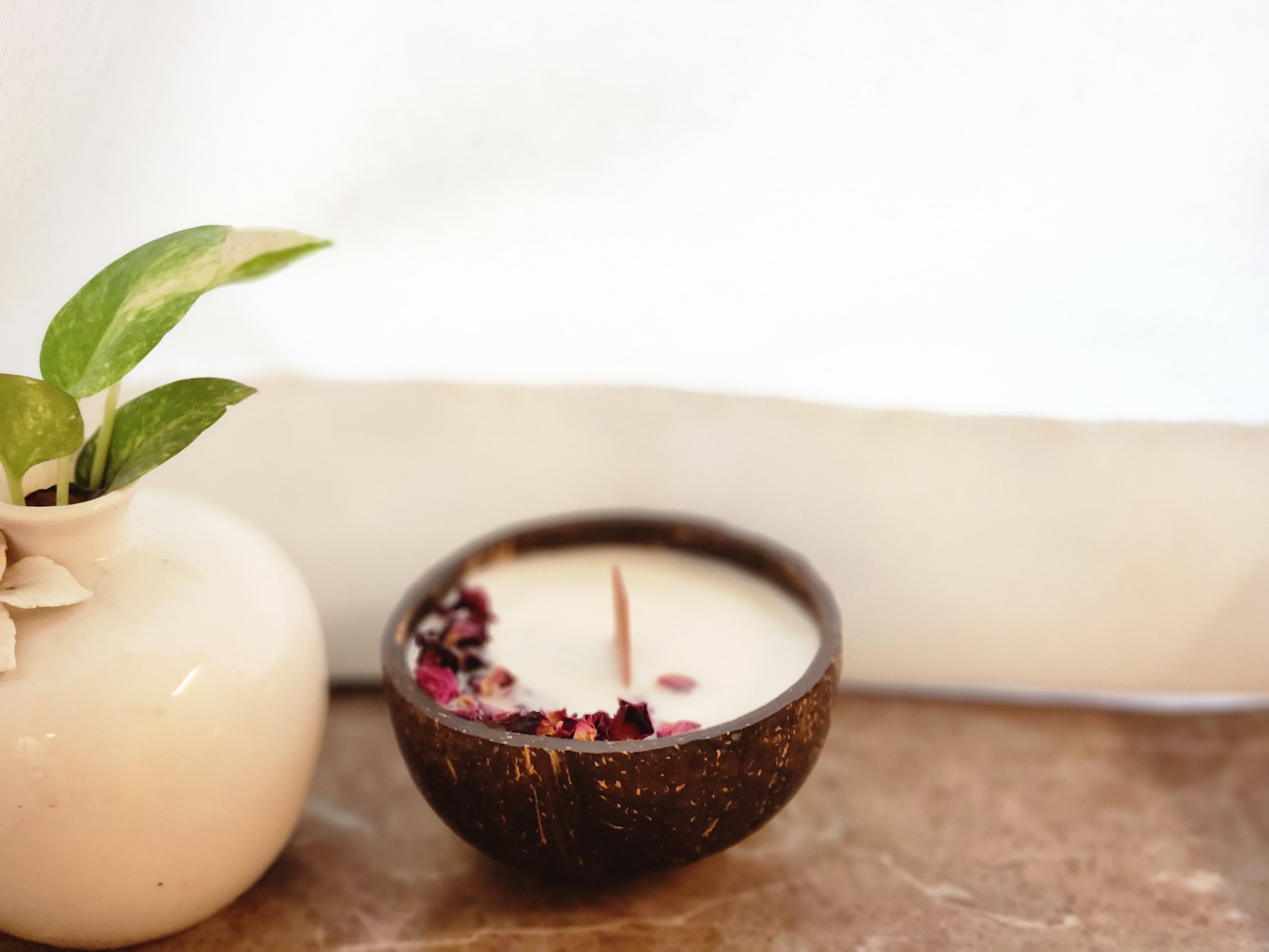 Rose in a Shell Candle | Wild Rose Romance | Burn Time 30 Hrs thumbnail 1