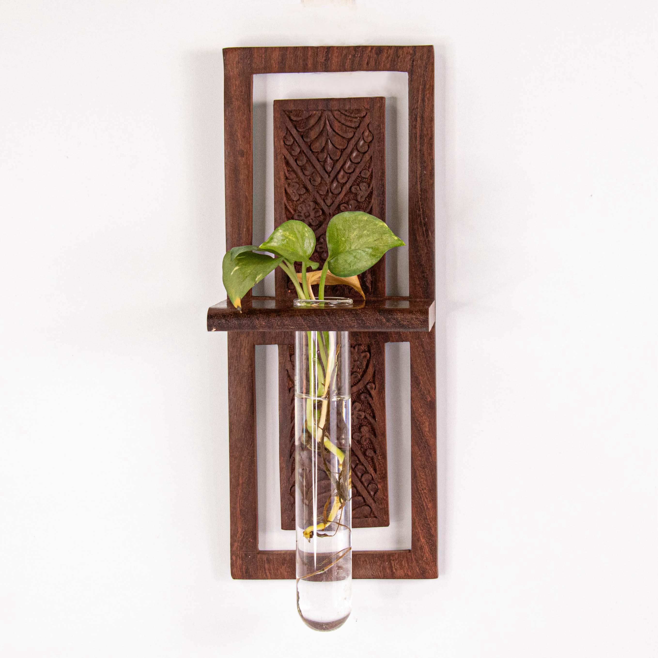 Bagan- Wall Mounted Test Tube Planter