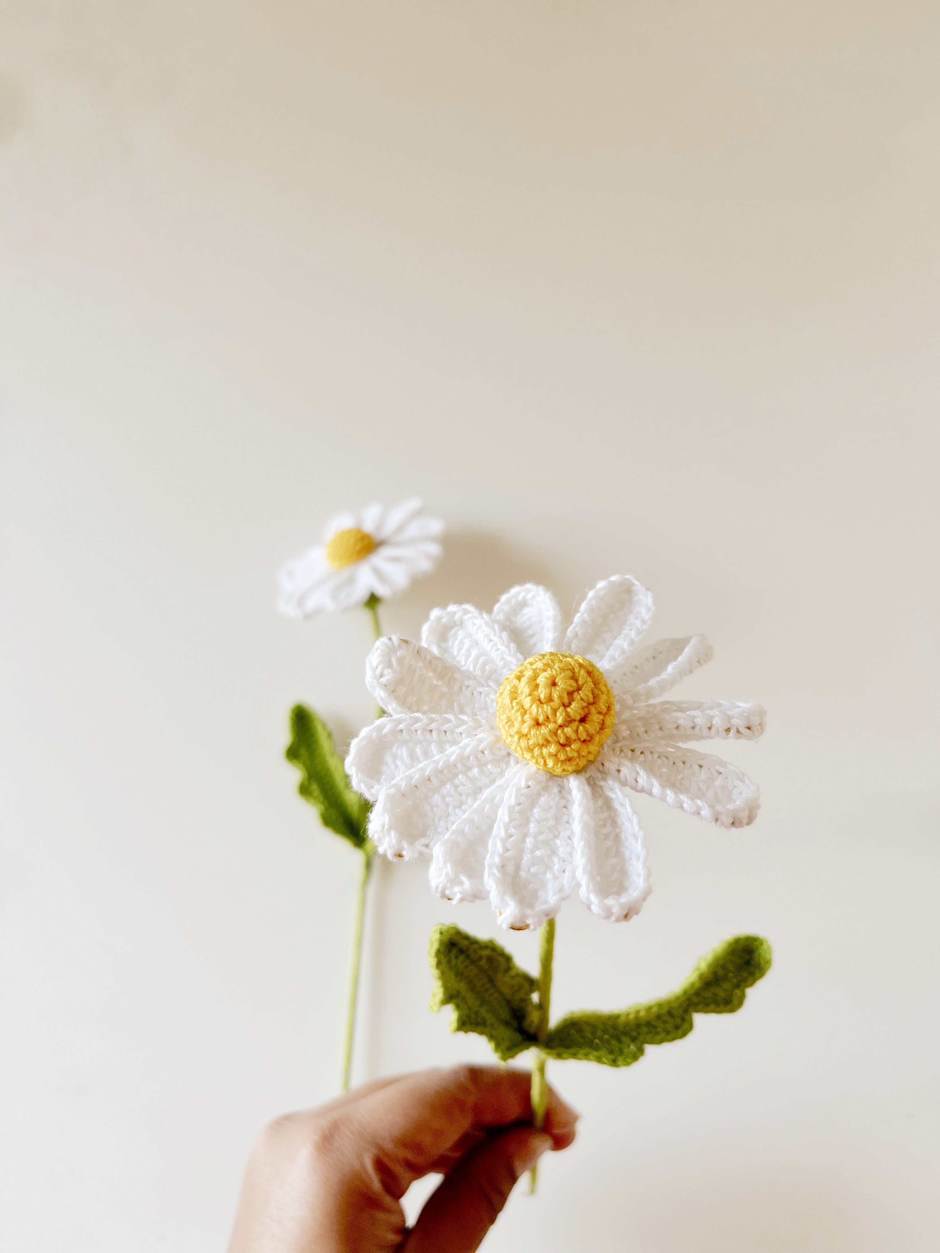 Crochet Daisy Flower - alternate view