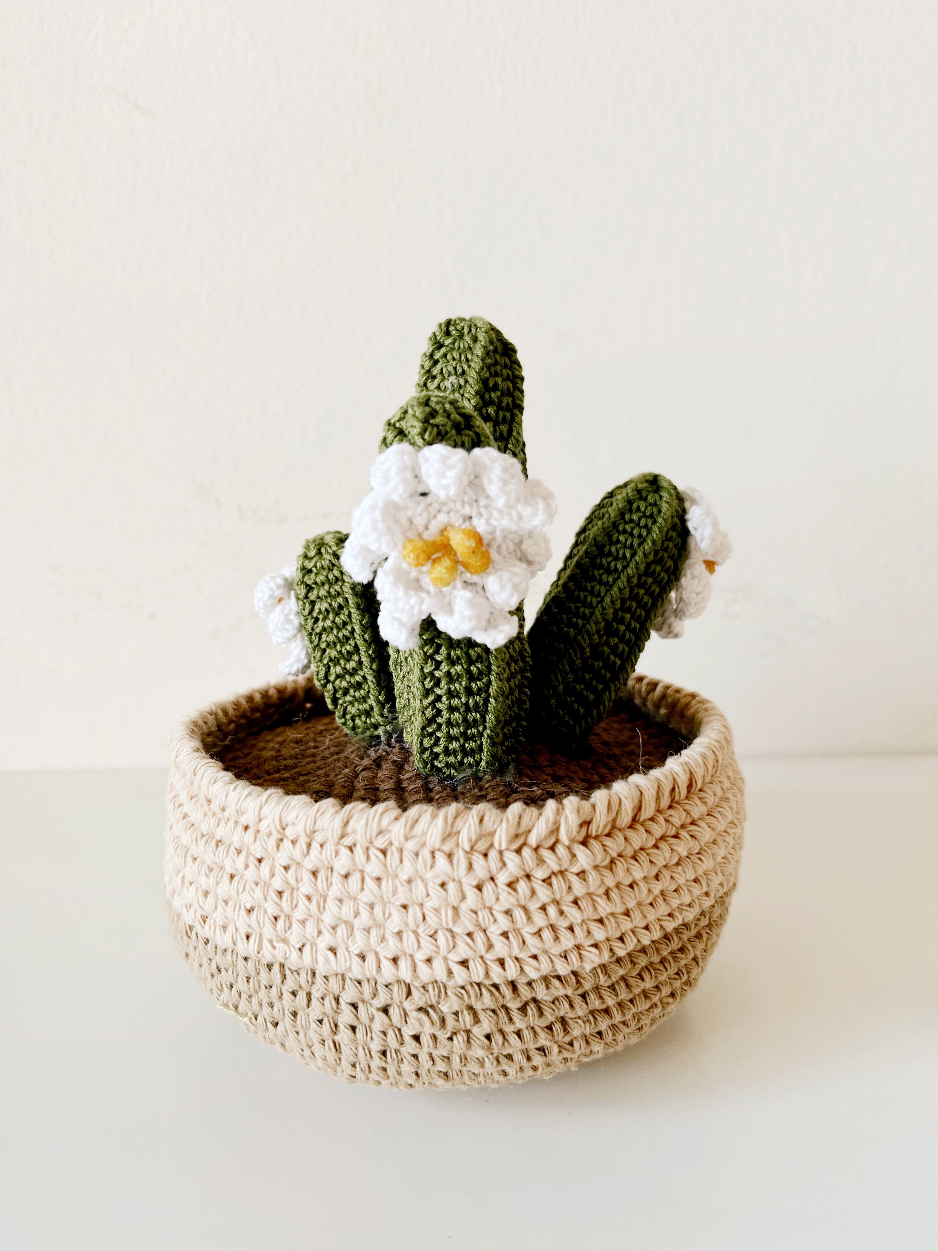 Crochet San Pedro Cactus | 100% Handmade thumbnail 2