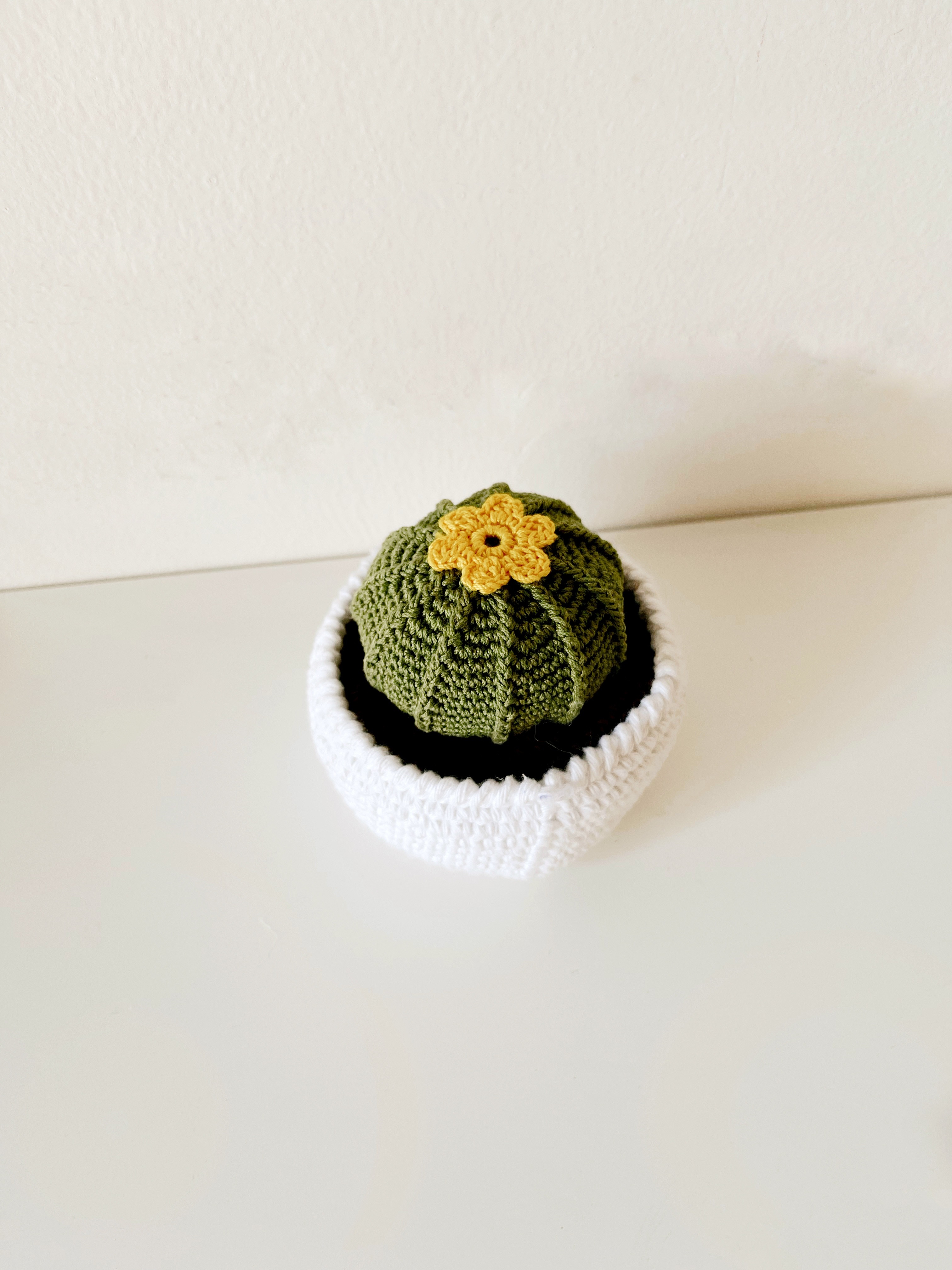 Crochet Balloon Cactus | 100% Handmade