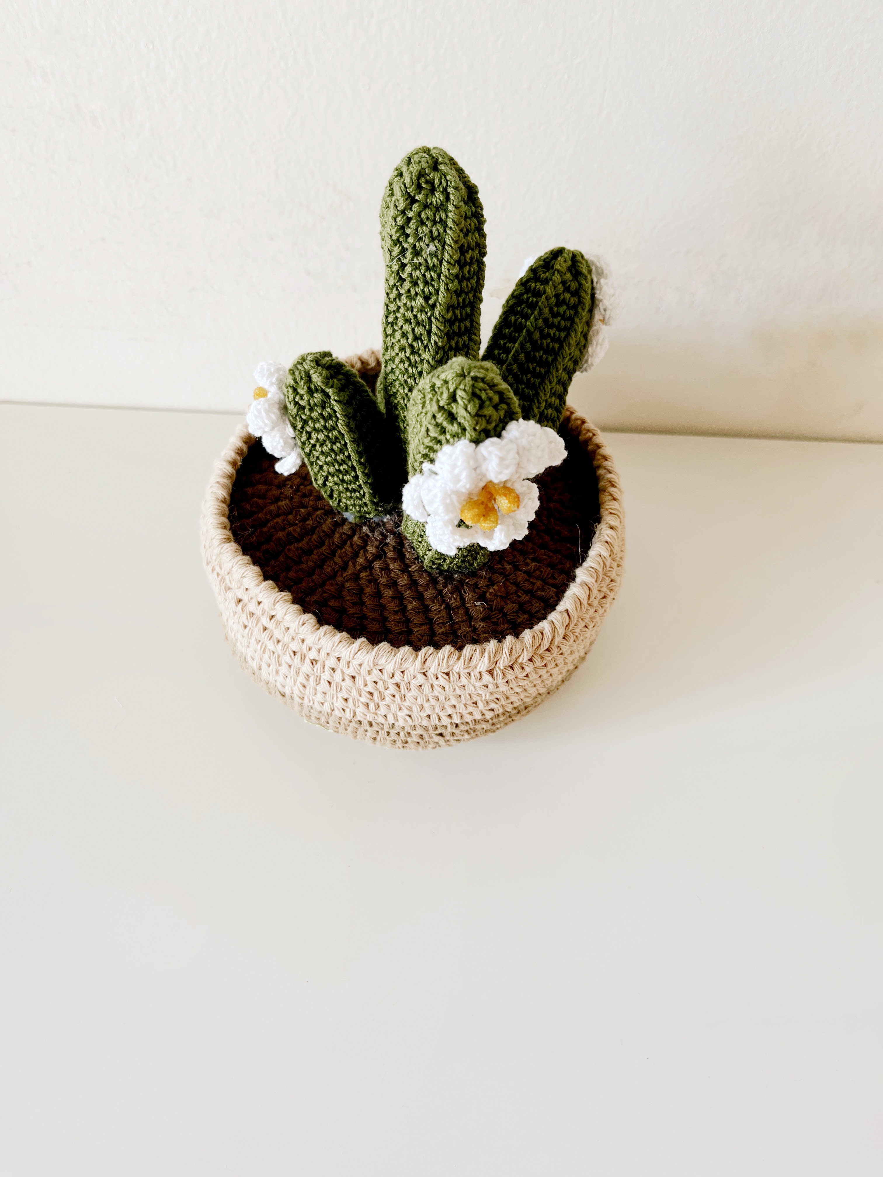 Crochet San Pedro Cactus | 100% Handmade thumbnail 3