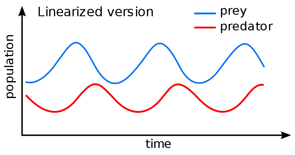 Représentation des fameuses courbes sinusoïdales du modèle proie-prédateur des équations différentielles de Lotka-Volterra.