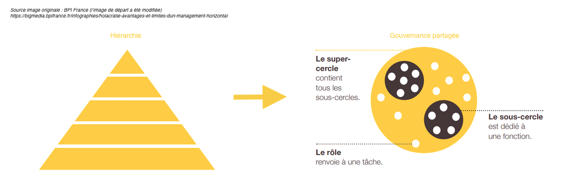 Illustration du modèle de l'holacratie par BPI France, comparé au modèle vertical et hiérarchique classique.